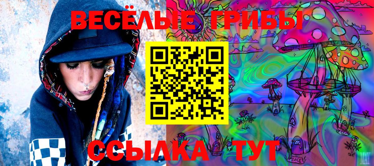 Галлюциногенные грибы прущие грибы  Галлюциногенные грибы MAGIC MUSHROOMS  Вход с VPN  Кемерово 